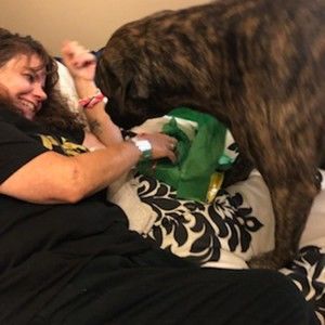 Meet your Posher, Jody